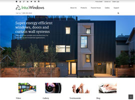 Intus Windows website design by dzine it